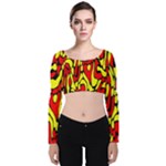 RBY 127 Velvet Long Sleeve Crop Top