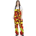 RBY 127 Women s Front Zip Ski And Snowboard Bib Pants