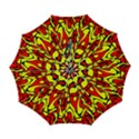 Automatic Folding Umbrella with Case (Large) 