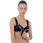 Pattern Design Seamless Fishbone Front Tie Bikini Top