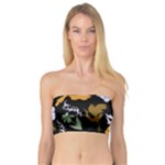 Pattern Design Seamless Texture Bandeau Top
