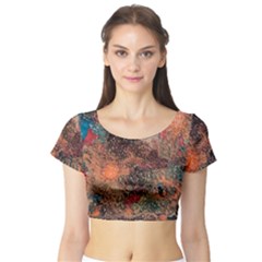 Short Sleeve Crop Top 