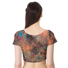 Short Sleeve Crop Top 