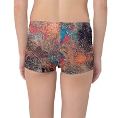Reversible Boyleg Bikini Bottoms Inside Back