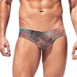 abstraction 22 Men s Swim Brief