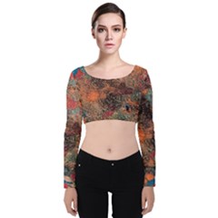 Velvet Long Sleeve Crop Top 
