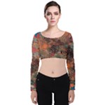 abstraction 22 Velvet Long Sleeve Crop Top