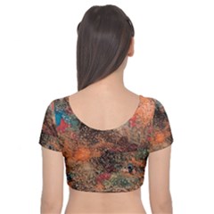 Velvet Short Sleeve Crop Top  