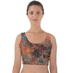 Velvet Crop Top 
