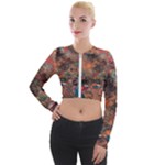 abstraction 22 Long Sleeve Cropped Velvet Jacket