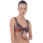 abstraction 22 Front Tie Bikini Top