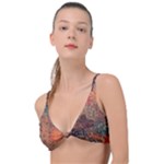 abstraction 22 Knot Up Bikini Top