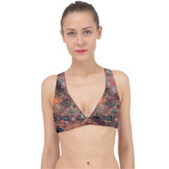 Classic Banded Bikini Top 