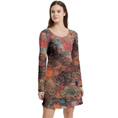 Long Sleeve Velour Skater Dress 