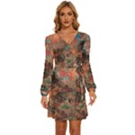 abstraction 22 Long Sleeve Waist Tie Ruffle Velvet Dress