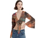 Trumpet Sleeve Cropped Top 