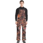 abstraction 22 Men s Side Zip Front Pouch Ski And Snowboard Bib Pants	