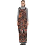 abstraction 22 Women s Side Zip Front Pouch Ski And Snowboard Bib Pants	