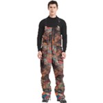 abstraction 22 Men s Front Zip Ski And Snowboard Bib Pants