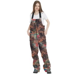 Women s Front Zip Ski And Snowboard Bib Pants 