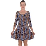 Blue Brown Leopard Quarter Sleeve Skater Dress