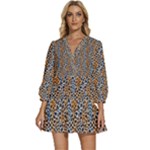 Blue Brown Leopard V-Neck Placket Mini Dress