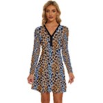 Blue Brown Leopard Long Sleeve Deep V Mini Dress 