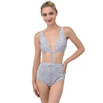 Light Grey Snake Tied Up Two Piece Swimsuit