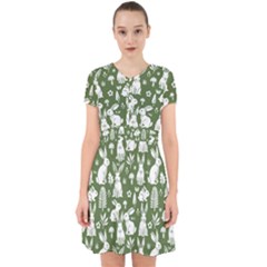 Adorable in Chiffon Dress 