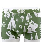 Easter bunny pattern Men s Boxer Briefs