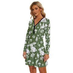 Long Sleeve Deep V Mini Dress  