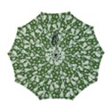 Automatic Folding Umbrella with Case (Large) 