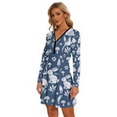 Long Sleeve Deep V Mini Dress  