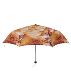 Folding Umbrella 