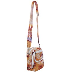Shoulder Strap Belt Bag 