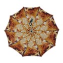Automatic Folding Umbrella with Case (Large) 