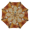 Automatic Folding Umbrella with Case (Medium) 
