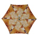 Automatic Folding Umbrella with Case (Small) 