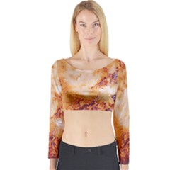 Long Sleeve Crop Top 