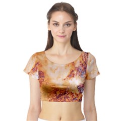Short Sleeve Crop Top 