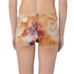Reversible Boyleg Bikini Bottoms Inside Back