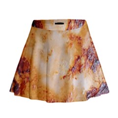 Mini Flare Skirt 