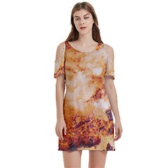 Women s Cold Shoulder Round Neck Mini Dress 