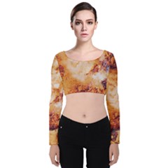 Velvet Long Sleeve Crop Top 
