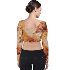 Velvet Long Sleeve Crop Top 