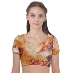 Velvet Short Sleeve Crop Top  