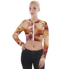 Long Sleeve Cropped Velvet Jacket 