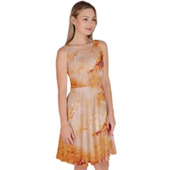 Knee Length Skater Dress With Pockets 