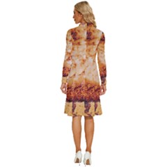 Long Sleeve Shirt Collar A-Line Dress 