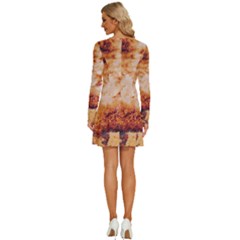 Long Sleeve Deep V Mini Dress  